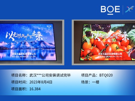 武漢***公司安裝調(diào)試完畢