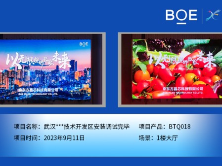 武漢**技術(shù)開發(fā)區(qū)1樓大廳BTQ018安裝調(diào)試完畢