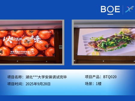 湖北***大學(xué)安裝調(diào)試完畢