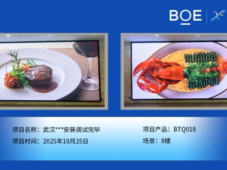 武漢***安裝調試完畢