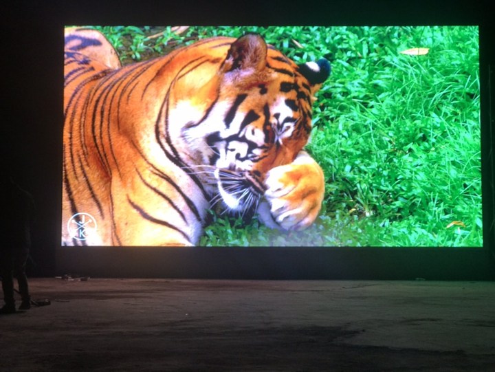 赤壁市三國(guó)小學(xué)-戶(hù)外P5-55.7㎡